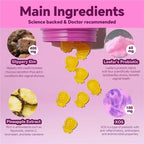 60 Pineapple Flavor Female Probiotic Gummies